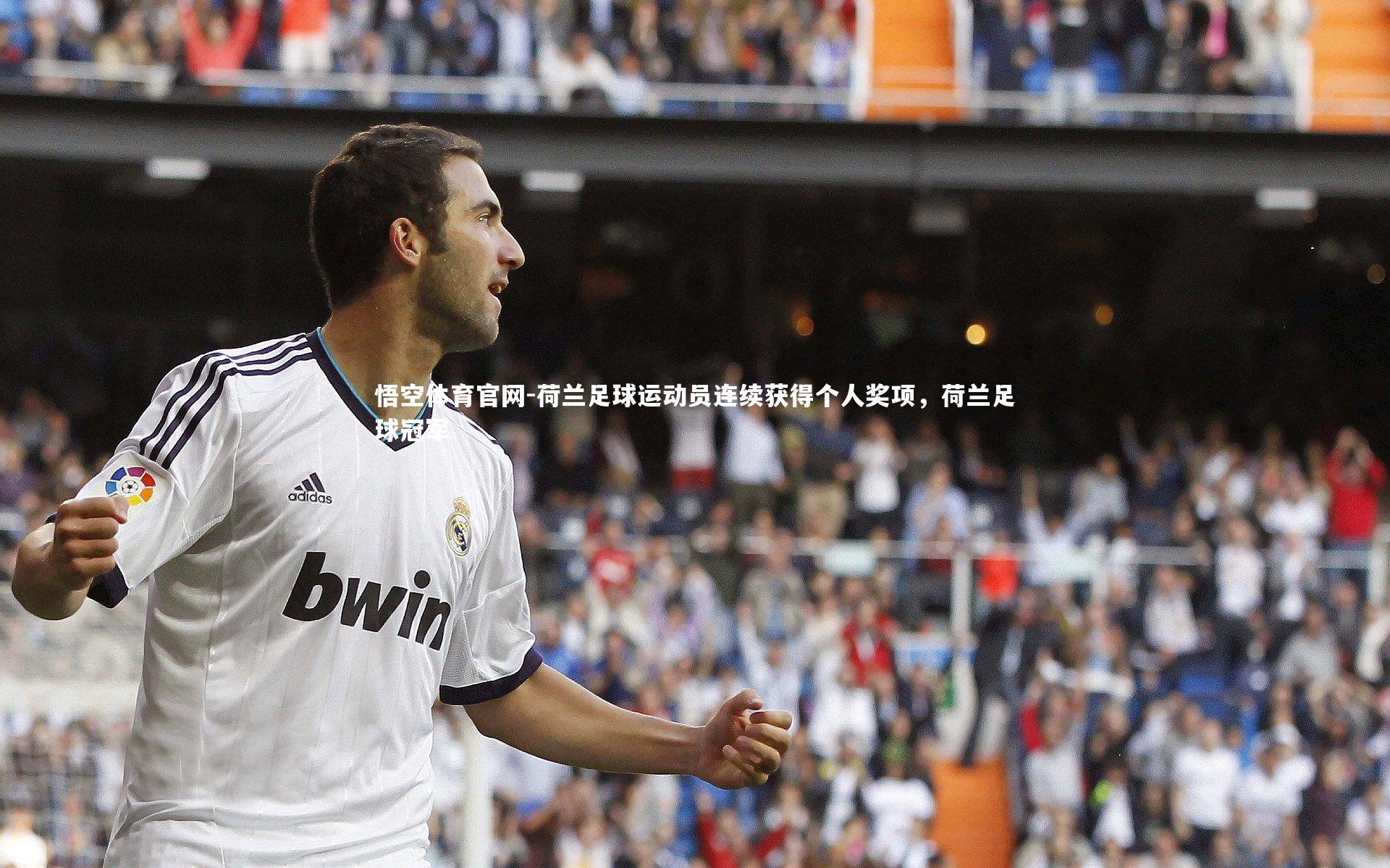 悟空体育官网-荷兰足球运动员连续获得个人奖项，荷兰足球冠军