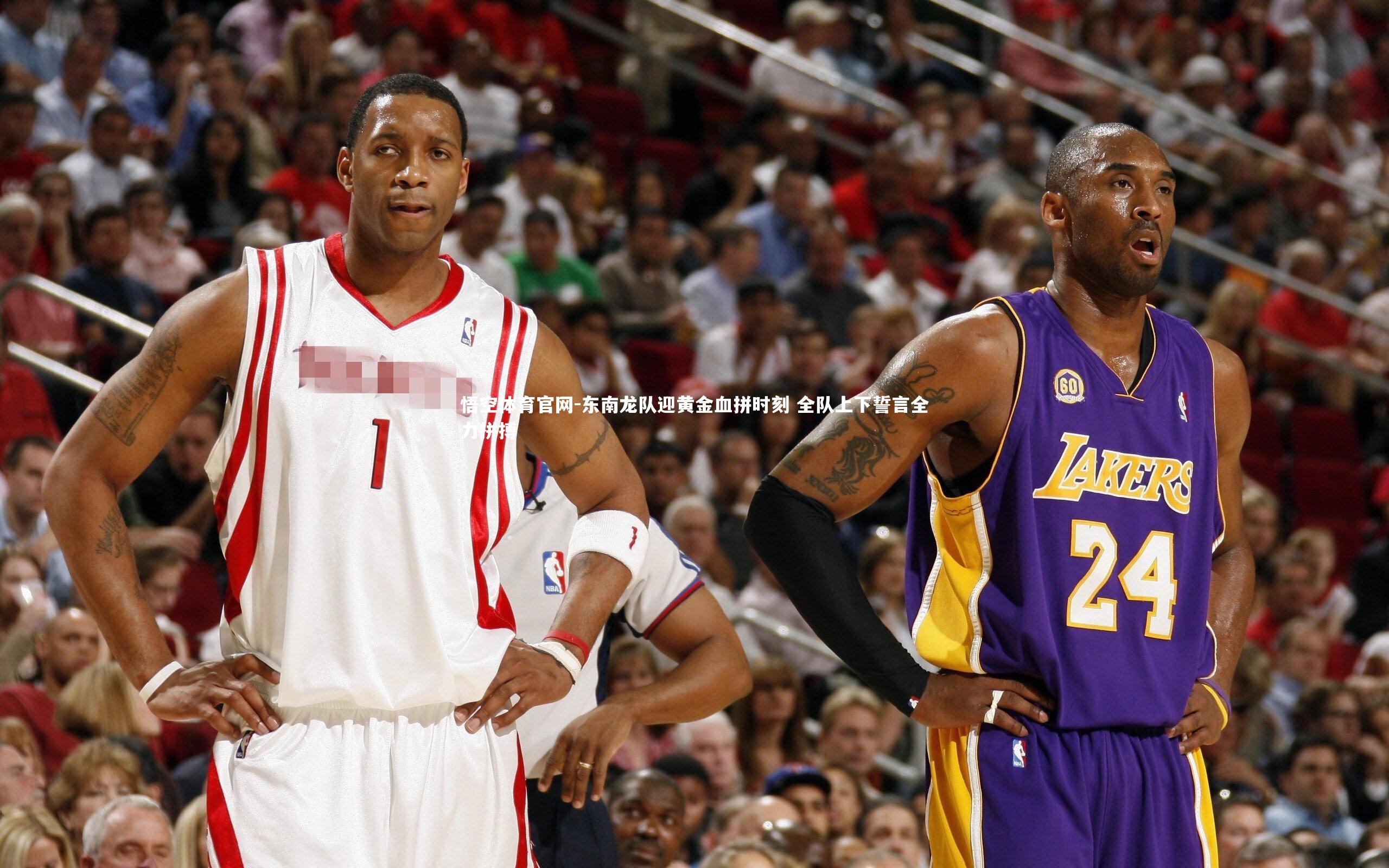 东南龙队迎黄金血拼时刻 全队上下誓言全力拼搏