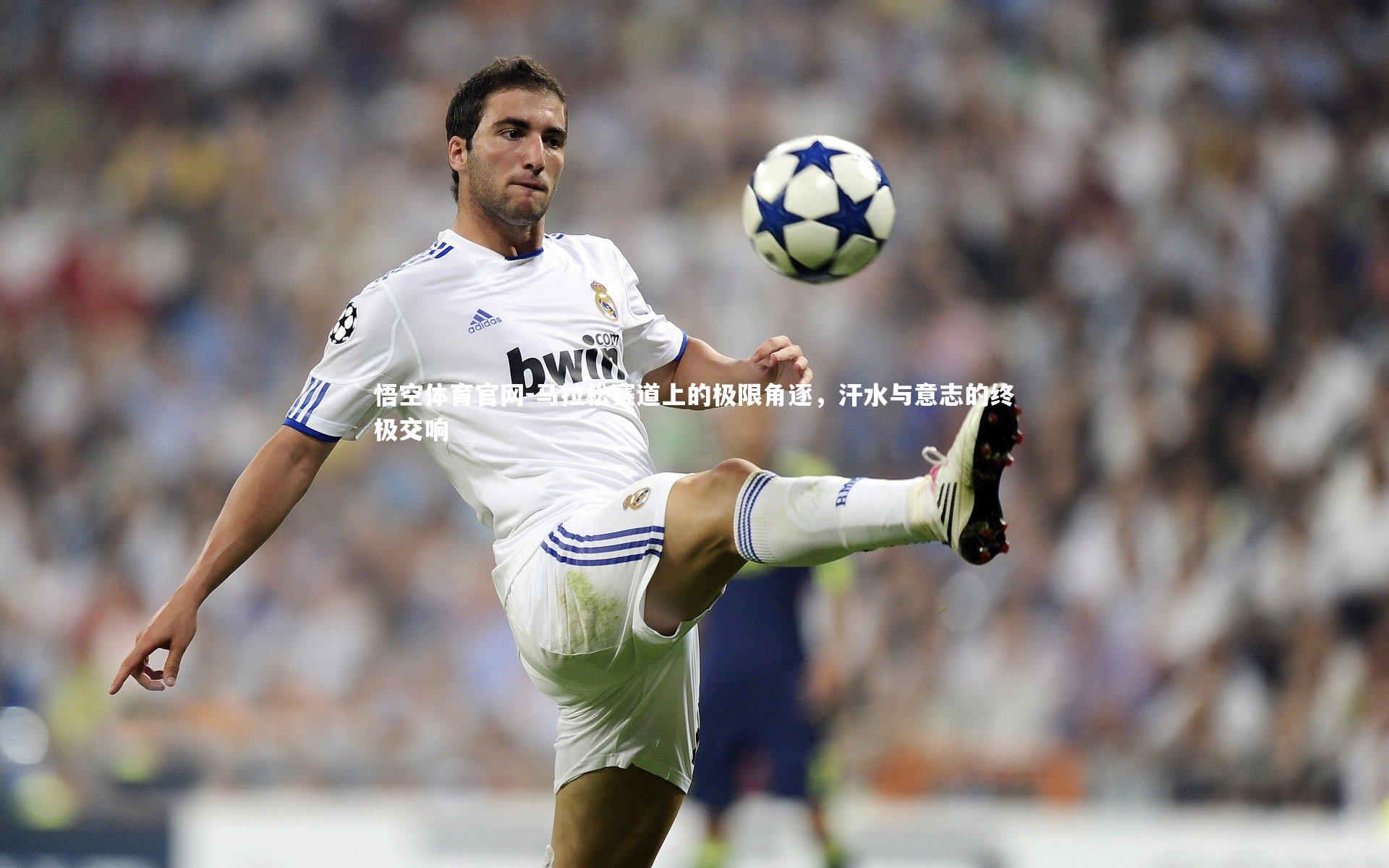 马拉松赛道上的极限角逐,汗水与意志的终极交响